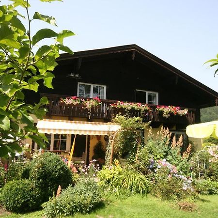 Appartement Am Schilift Sankt Gilgen Bagian luar foto